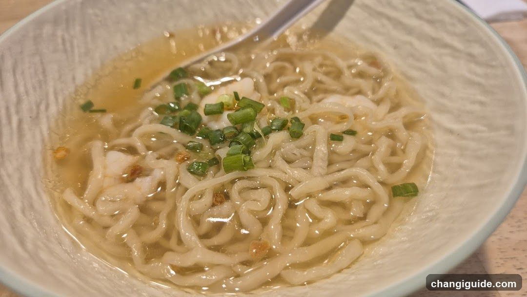 Bowl of Noodles with Green Onions