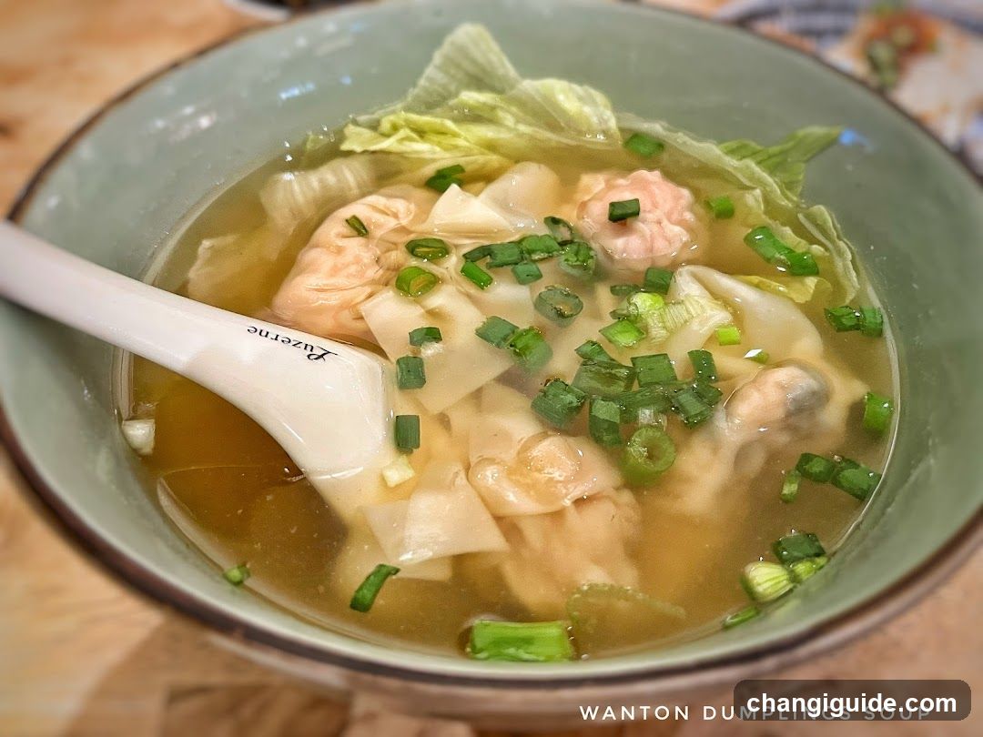 Wonton Dumplings Soup
