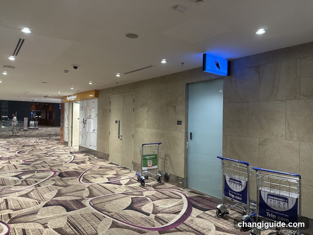 Airport Terminal Corridor with Shopping Carts