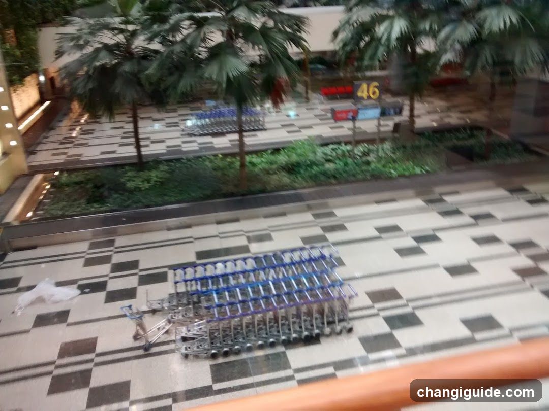 Shopping Cart Stacks in Mall Interior