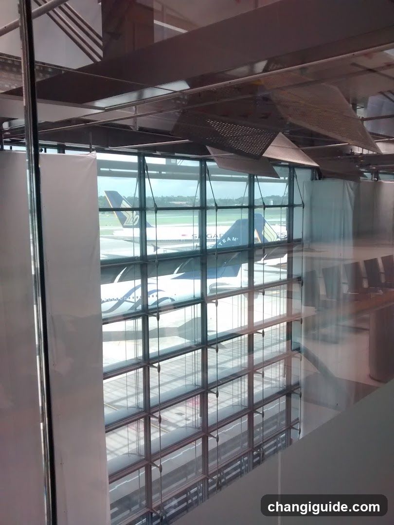 Airport Terminal View