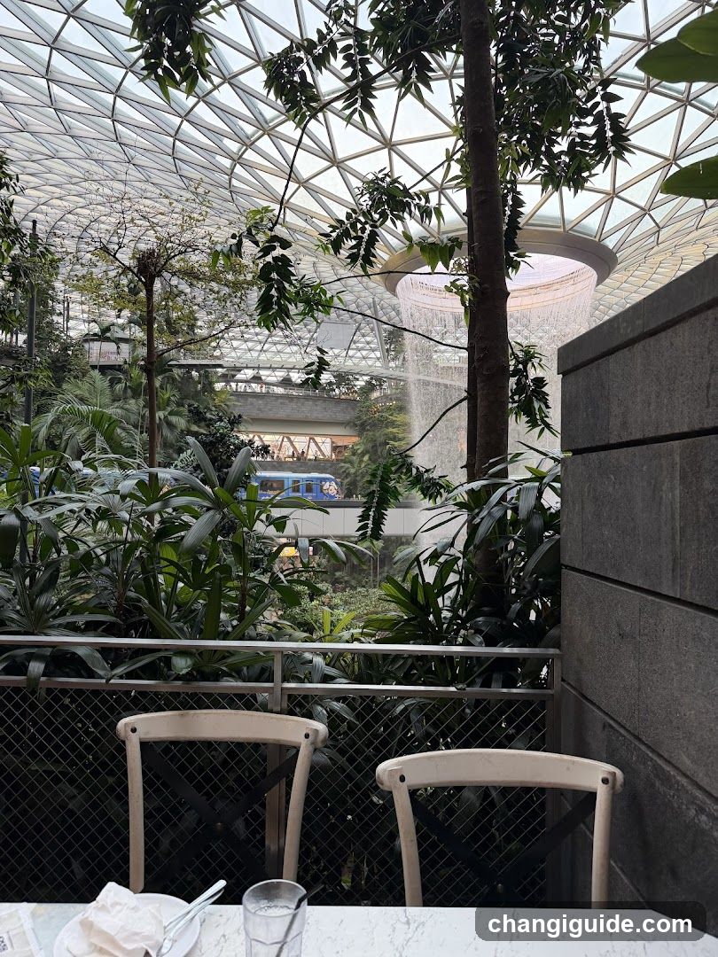 Indoor Garden View with Seating Area