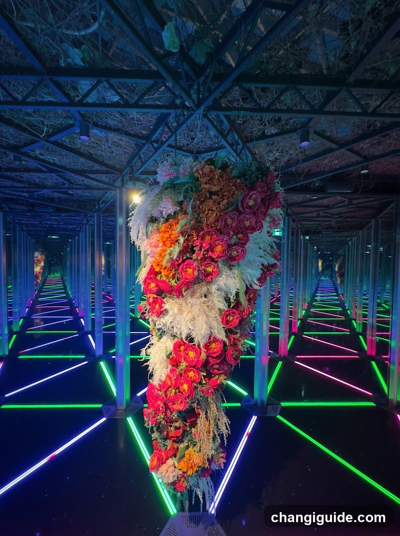 Mirror Maze