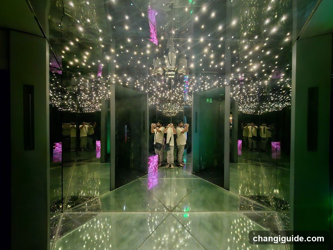 Mirror Maze