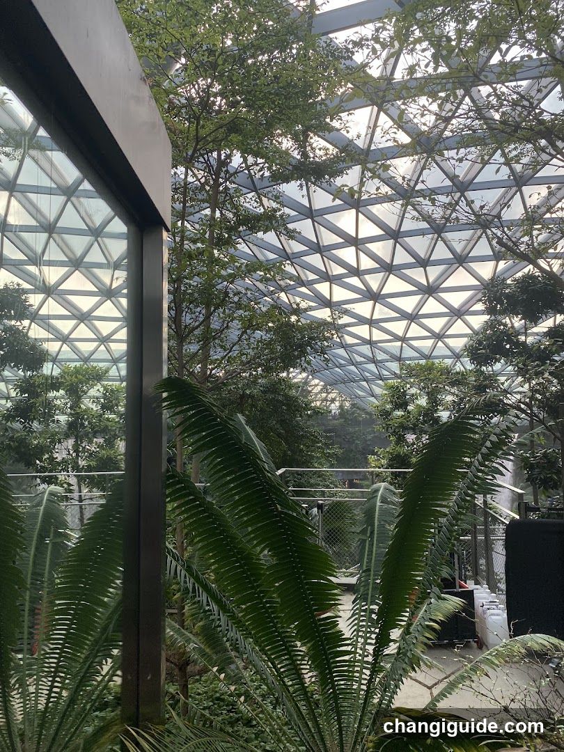 Indoor Garden View
