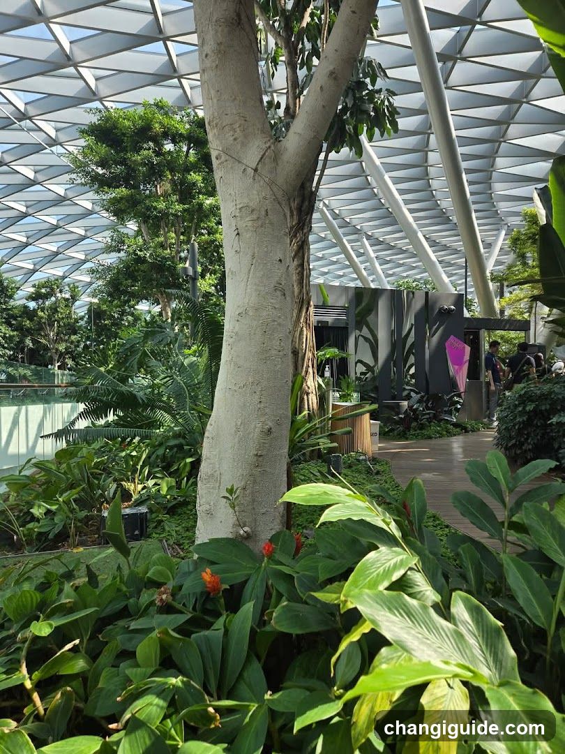 Indoor Garden Scene