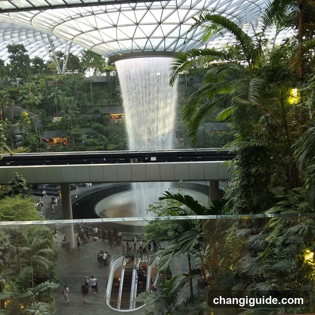 Indoor Waterfall and Greenery