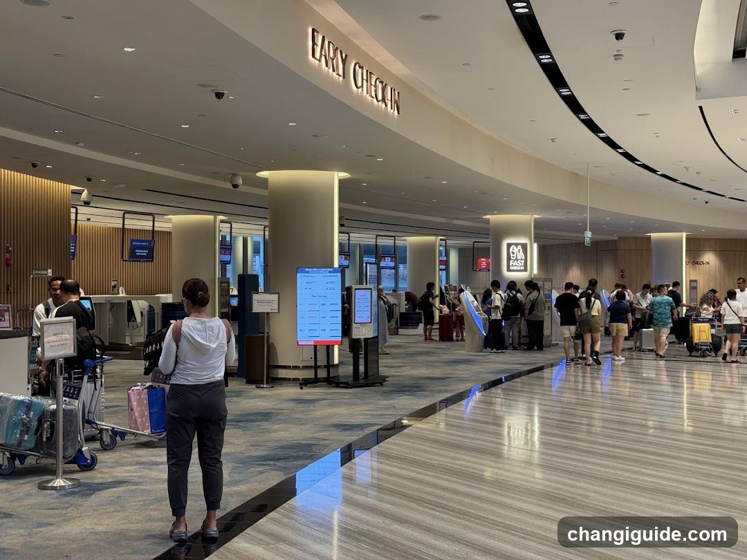 Airport Check-in Area
