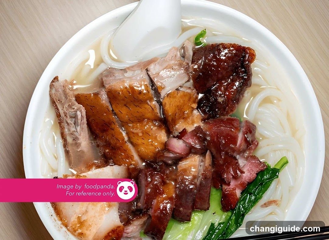 Roast Meat Noodle Bowl