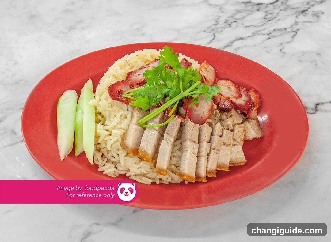 Plate of Rice with Roast Meat and Cucumber