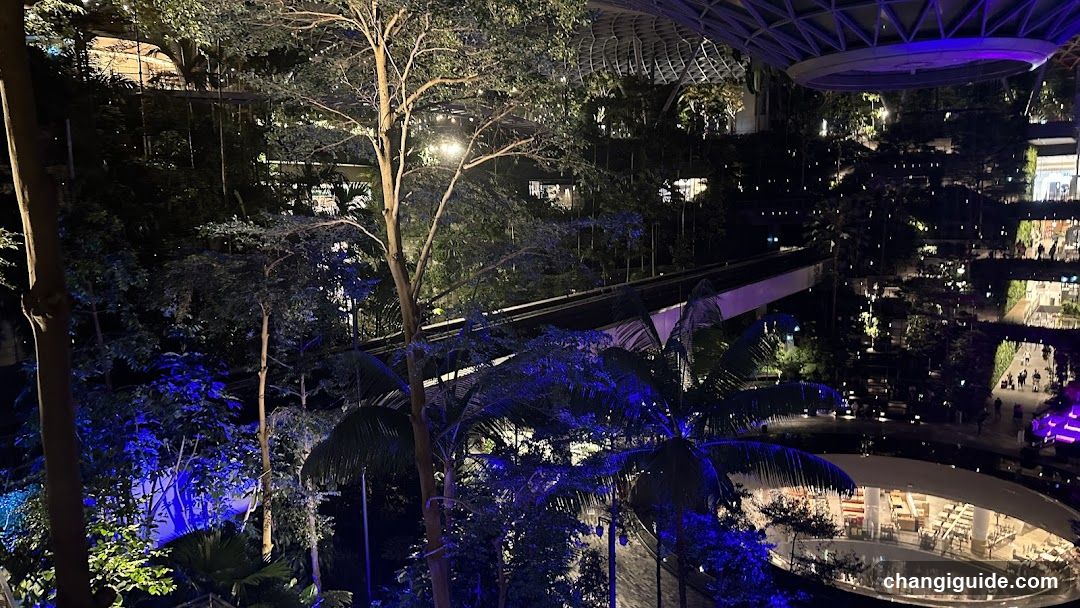 Night View of Indoor Garden and Mall Interior