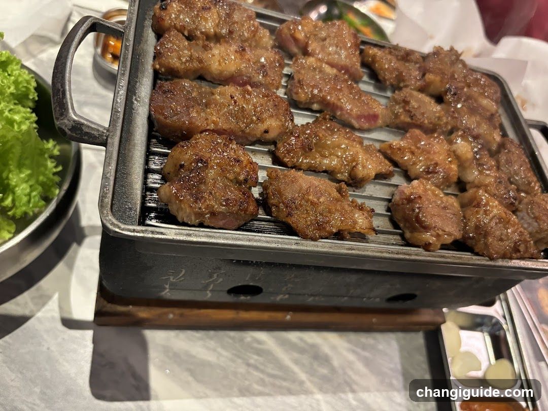 Grilled Meat on a Portable Grill