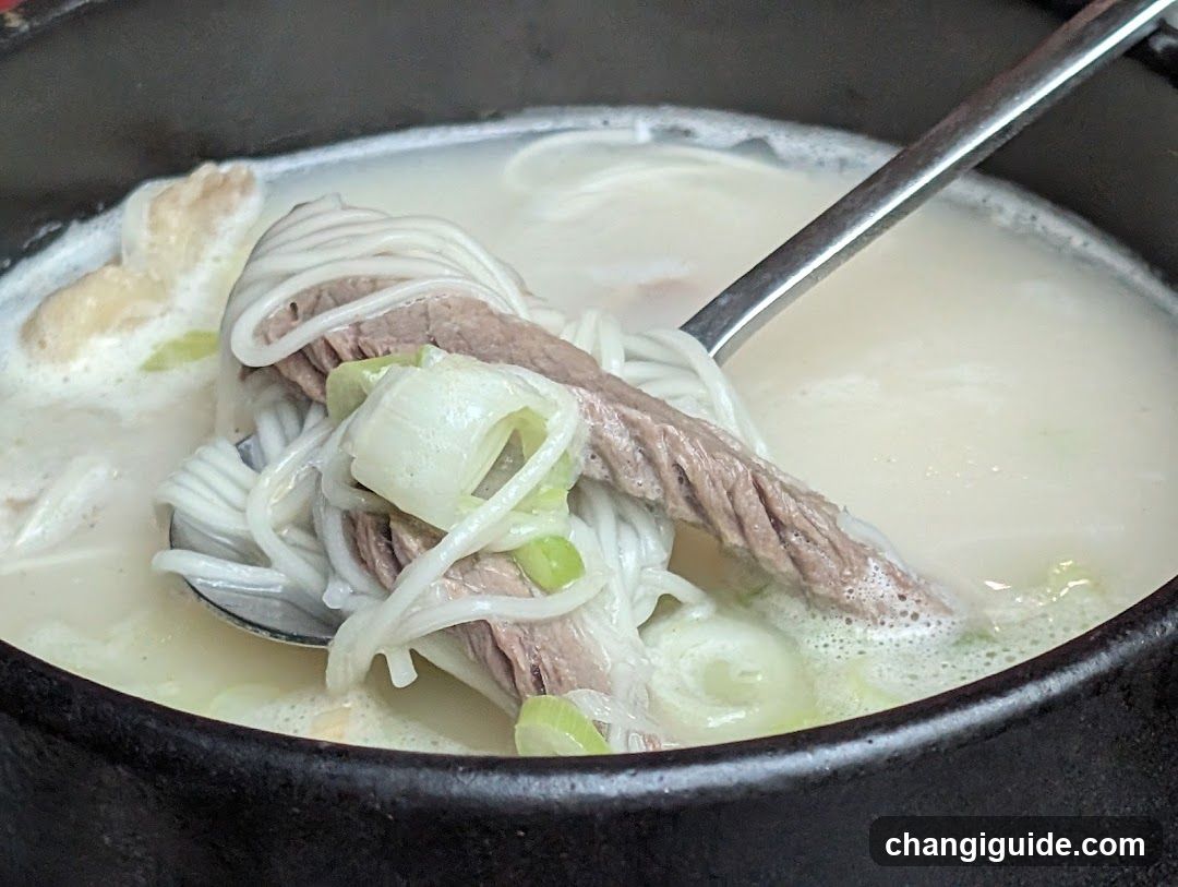 Noodle Soup with Meat and Scallions