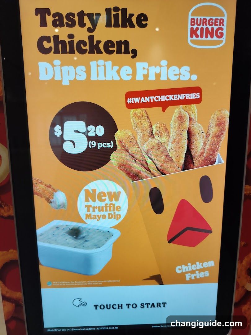 Burger King Chicken Fries Ad