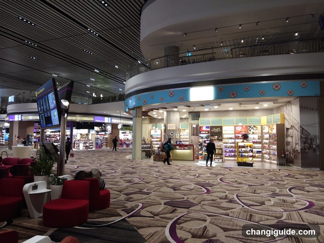Airport Terminal Interior
