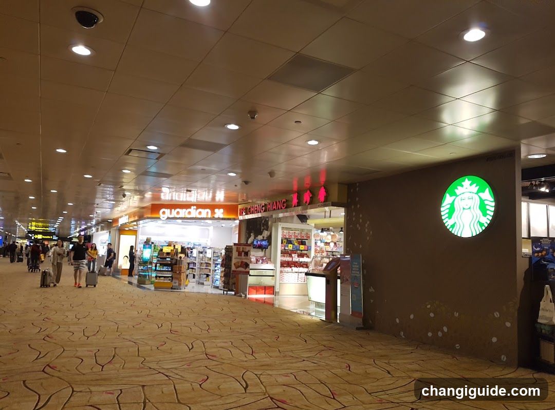 Airport Terminal Interior