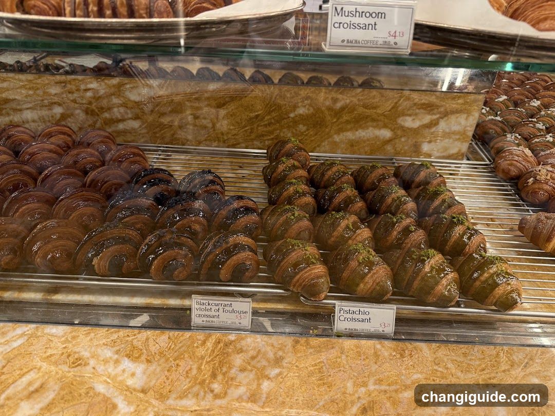 Pastry Display Case