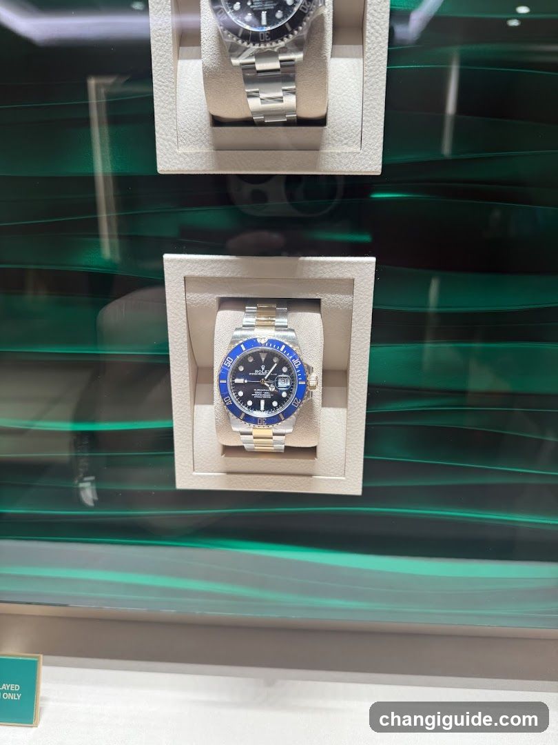Watch Display Case