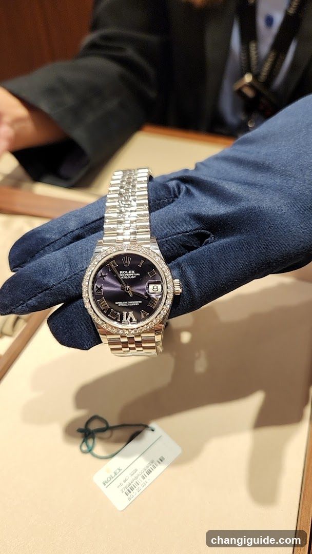 Rolex Watch Display