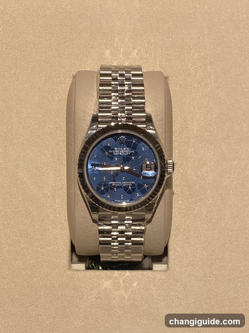 Rolex Datejust Watch Display