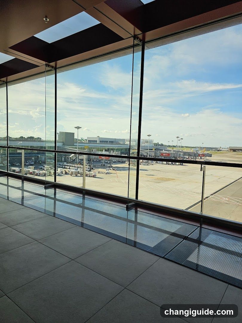 Airport Terminal View