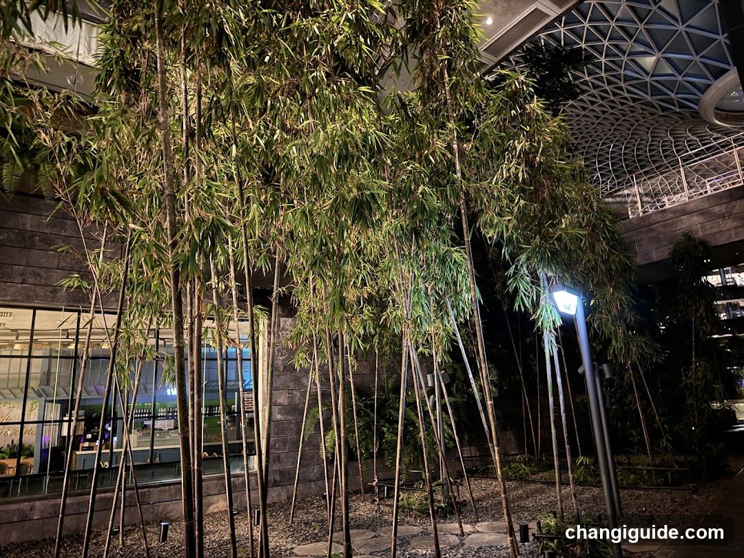 Bamboo Garden at Night
