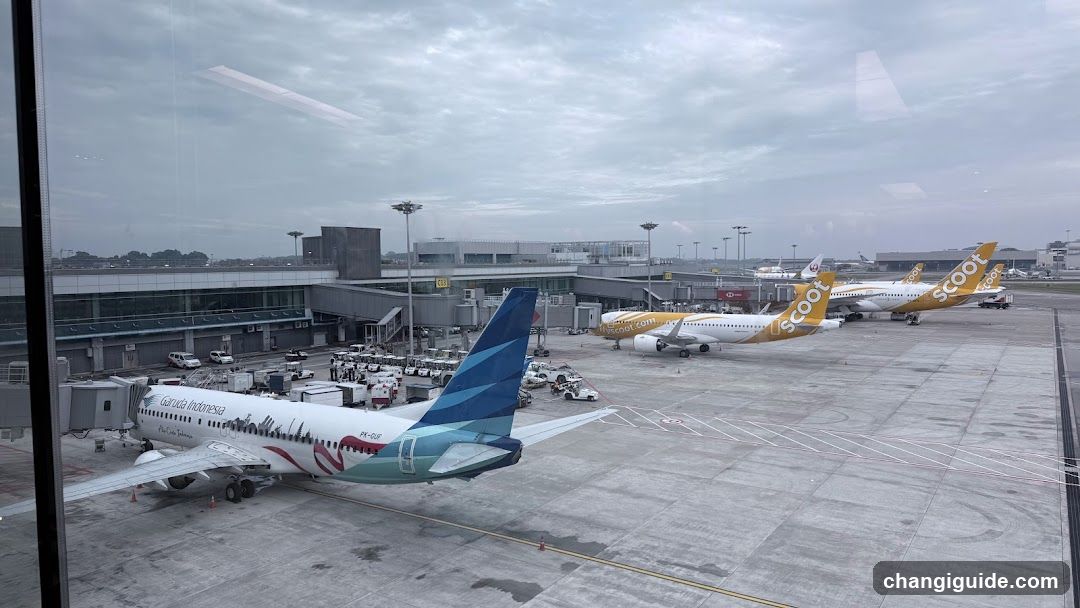 Airport Tarmac View