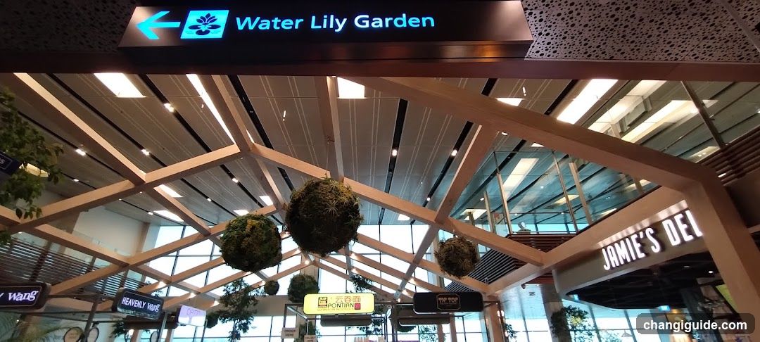Water Lily Garden Interior View
