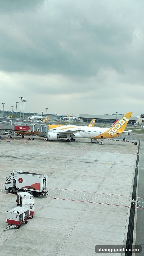 Airport Tarmac View
