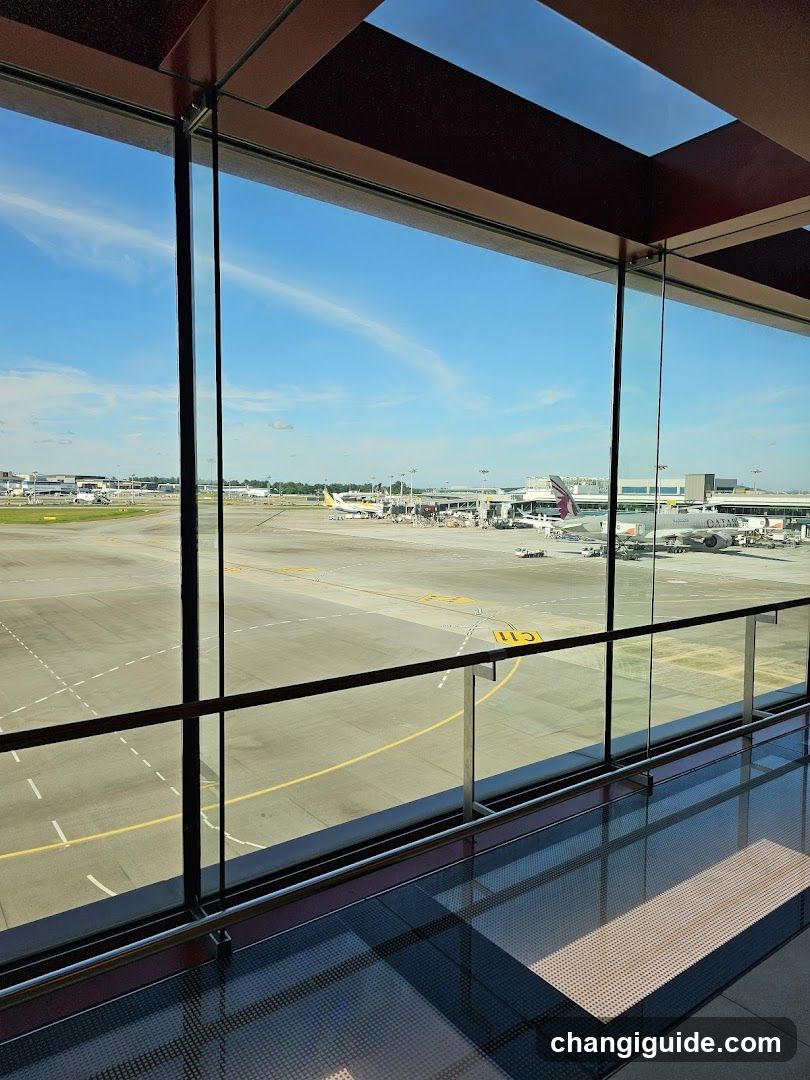 Airport Terminal View