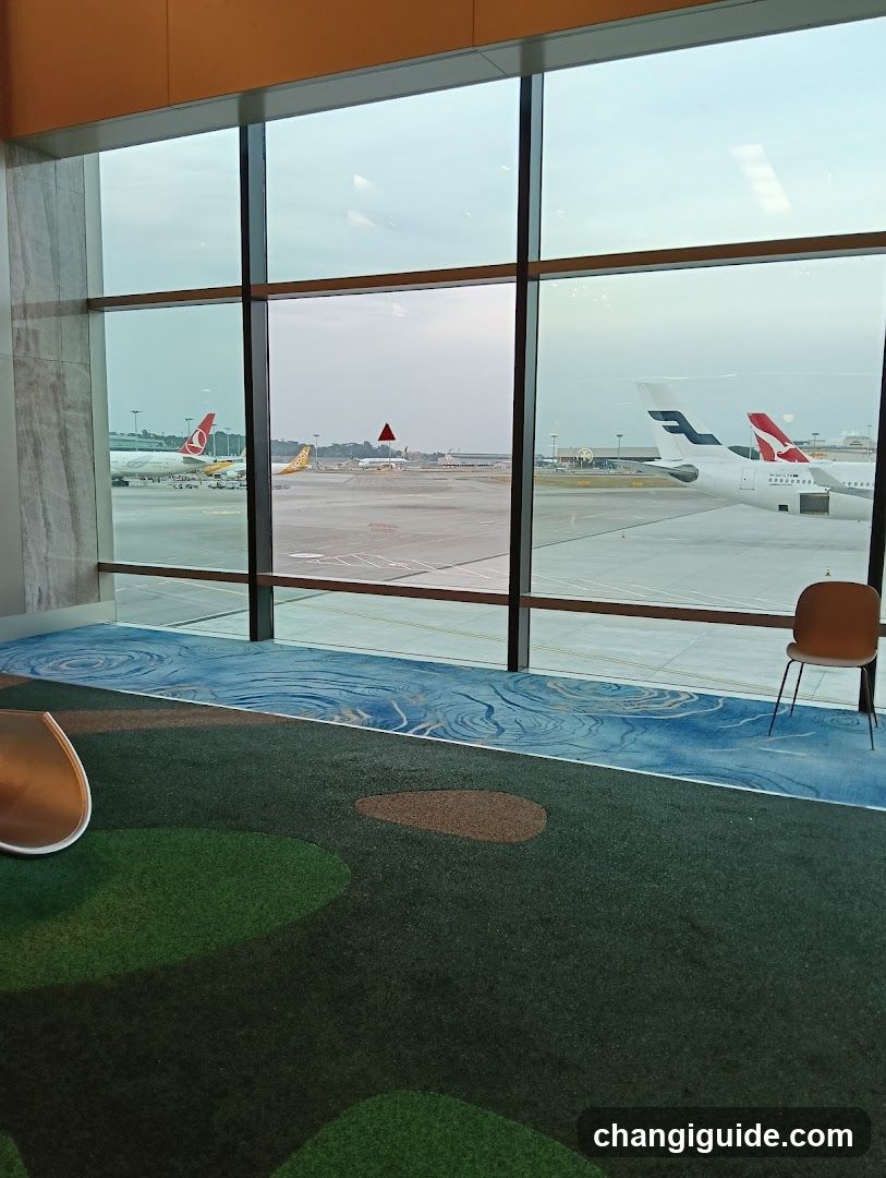 Airport Terminal View