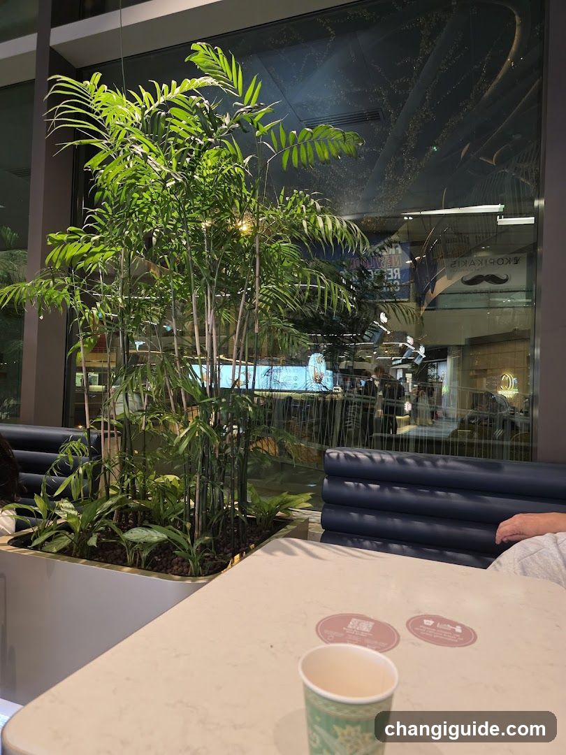 Indoor Dining Area with Plants