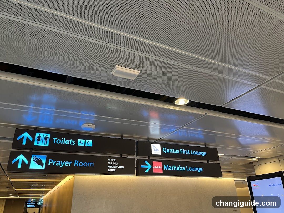 Airport Directional Signage