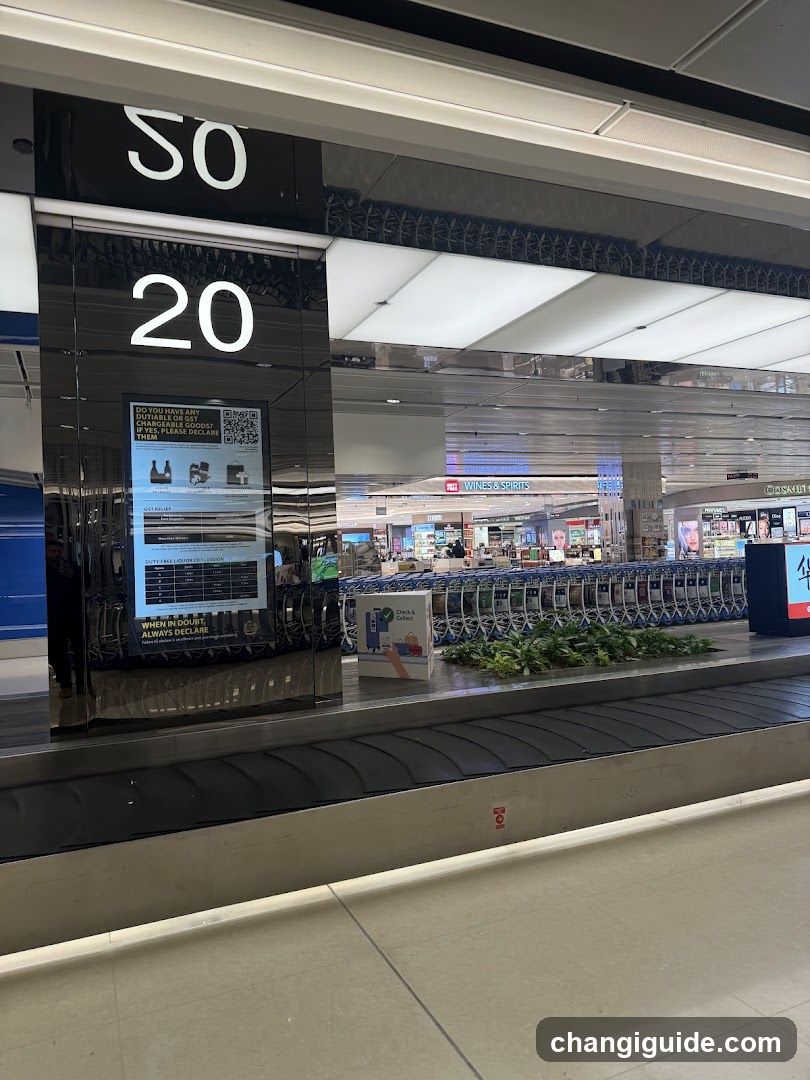 Airport Baggage Claim Area