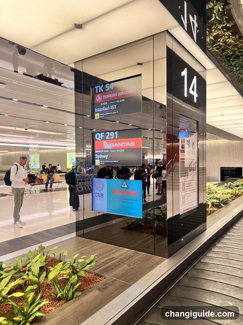 Airport Terminal Gate Area
