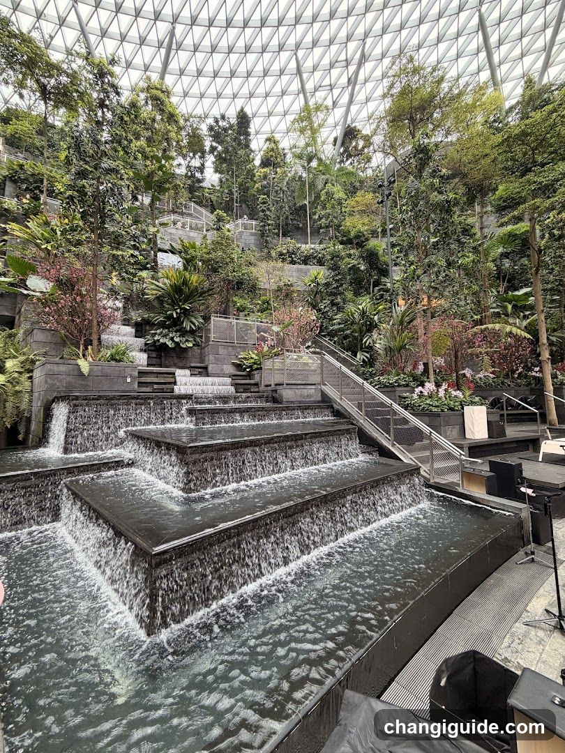Indoor Waterfall Garden