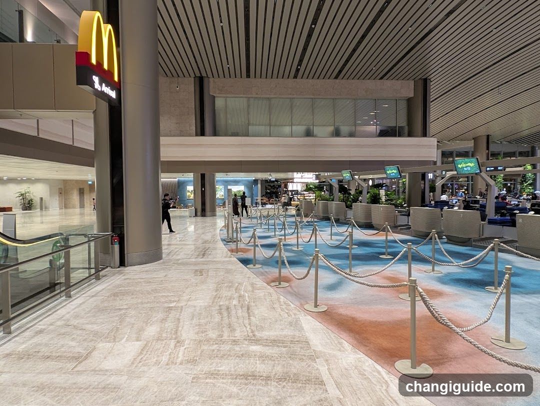 Airport Terminal Interior with Queuing Area and McDonald's Signage