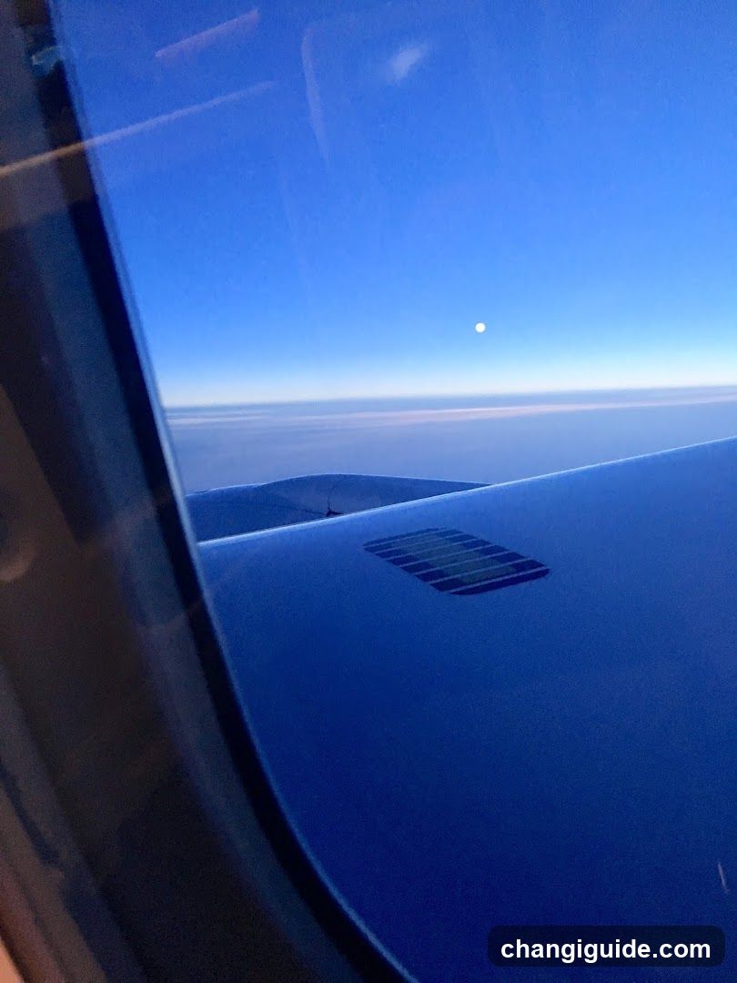 All Nippon Airways