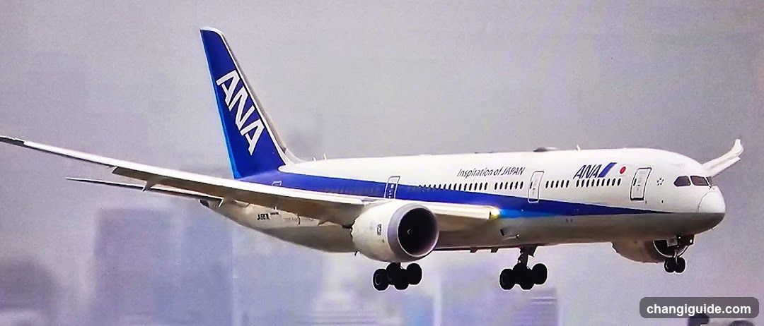 ANA Boeing 787 in flight
