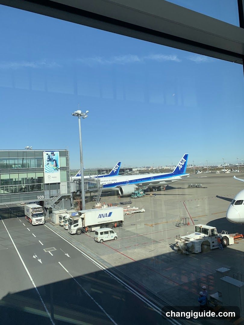 Airport Tarmac View