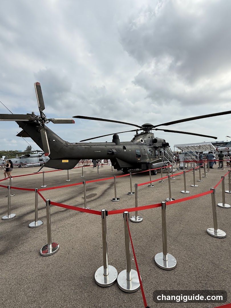 Helicopter Display at Air Show