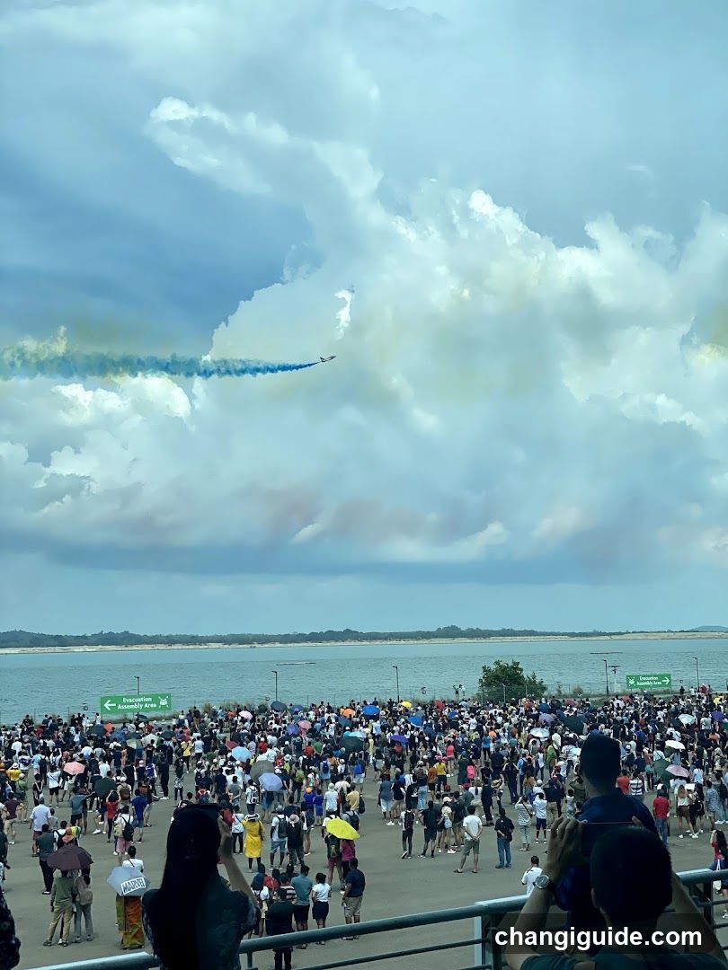 Aerial Show Spectators