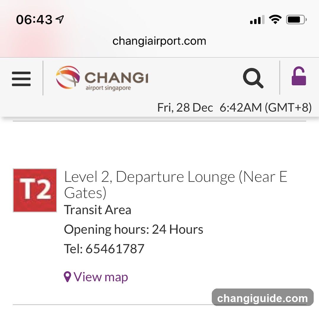 Changi Airport T2 Departure Lounge Info