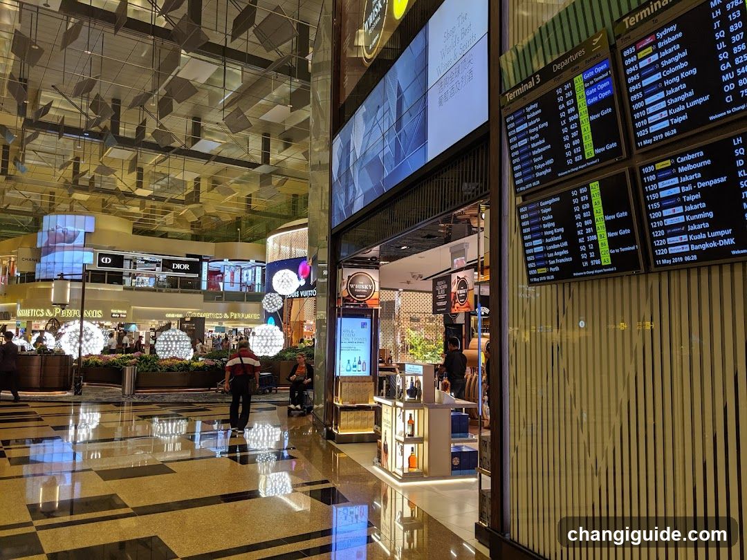 Airport Terminal Interior