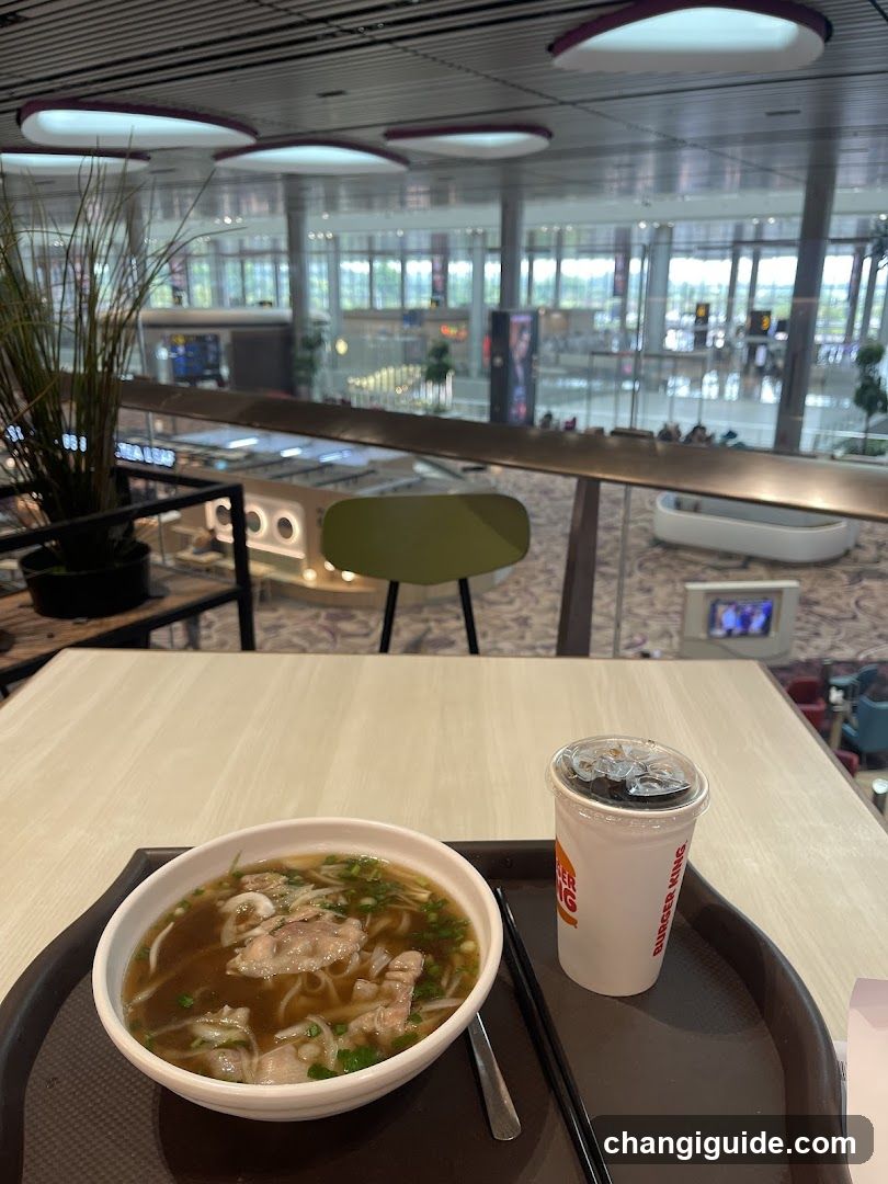 Airport Food Court Meal
