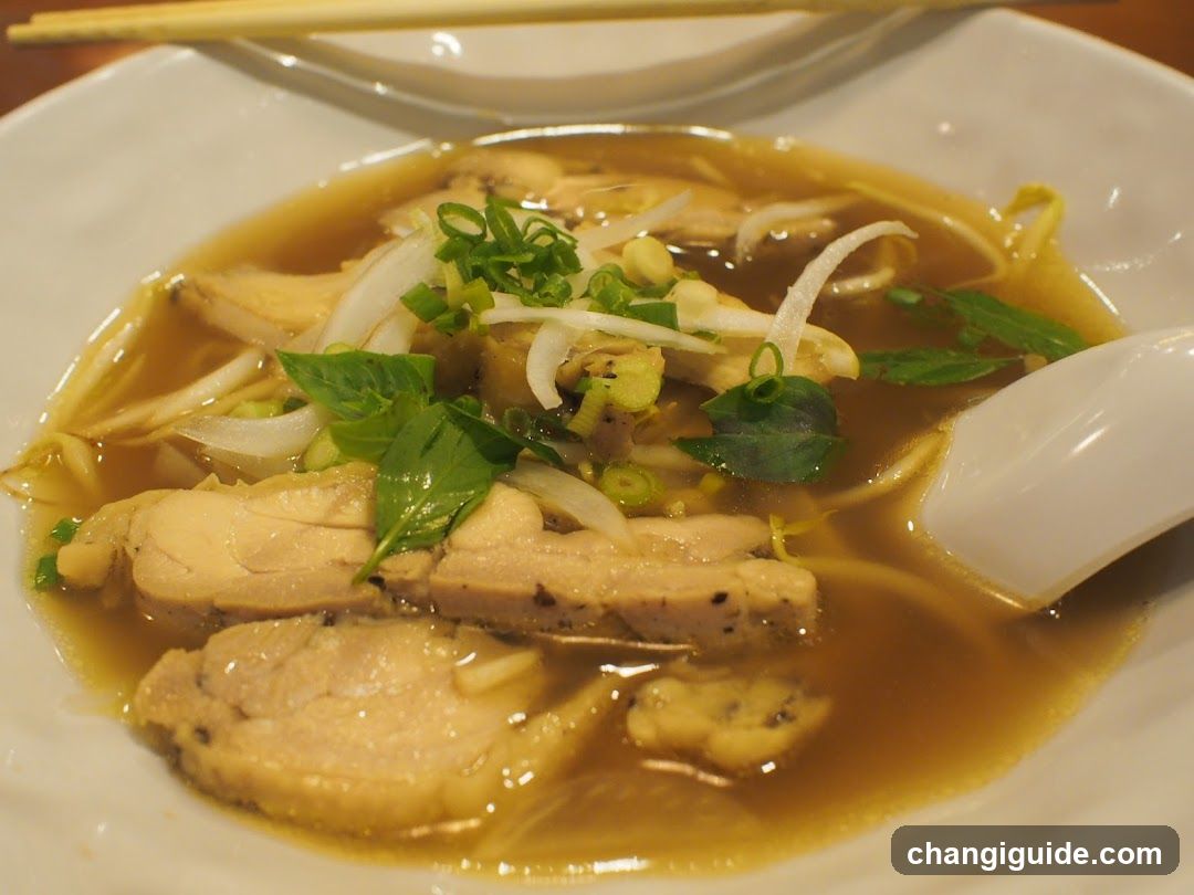Chicken Soup with Garnish