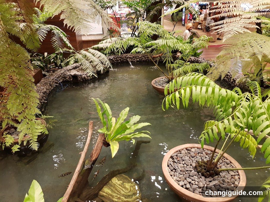 Indoor Garden Pond Scene