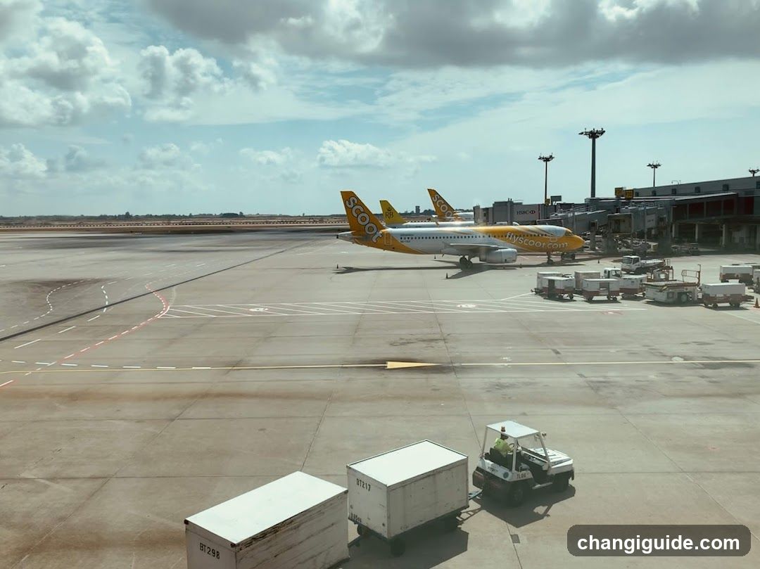 Airport Tarmac View