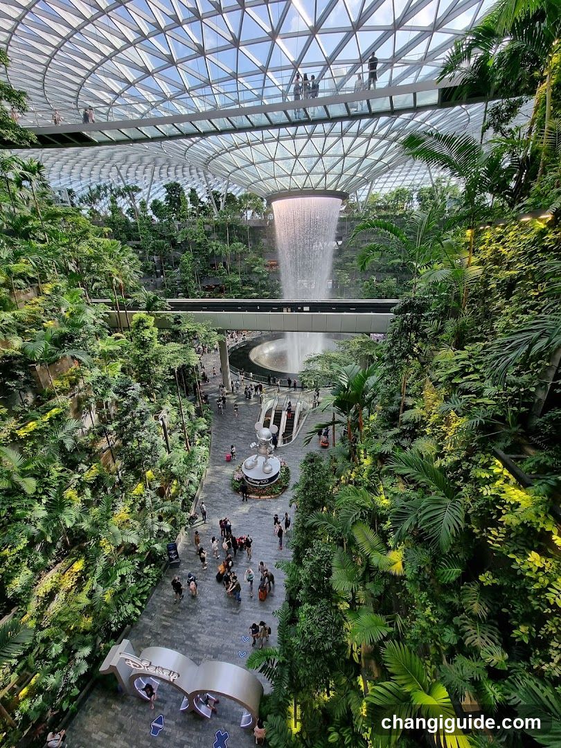 Indoor Waterfall Garden