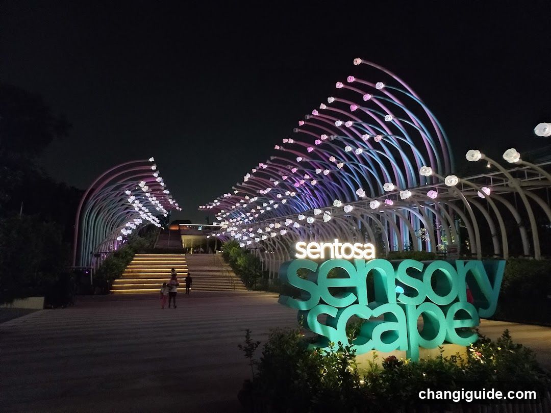 Sensory Scape Night View